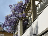 2019-04-09 Firenze 488